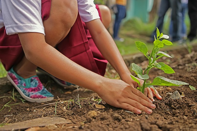 Giardinaggio per Principianti: Come Iniziare con Successo